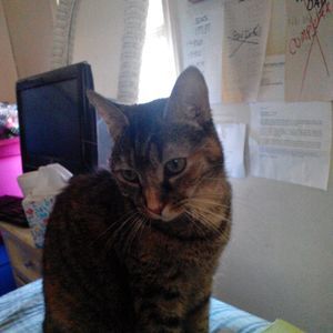 Meet your Posher, Linaya